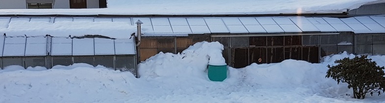 viel Arbeit für den neuen Lebensraum in Deutschland ... Foto in Groß anklicken ... © Manfred Laib 2018 viel Arbeit für den neuen Lebensraum in Deutschland ... Foto in Groß anklicken ... © Manfred Laib 2018
